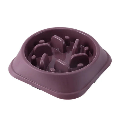 Anti-Choking Slow Feeder Bowl for Dogs & Cats