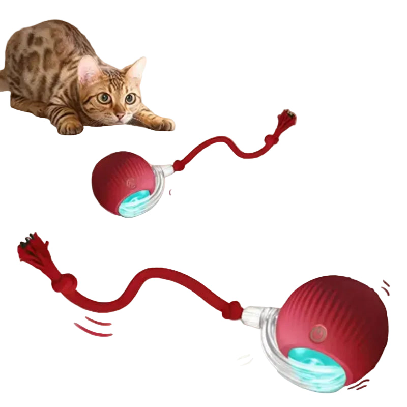 Smart Interactive Rolling Cat Ball