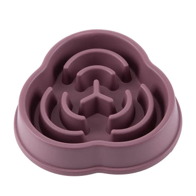 Anti-Choking Slow Feeder Bowl for Dogs & Cats