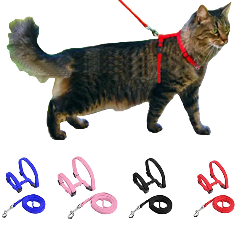 Adjustable Cat Collar & Harness Set