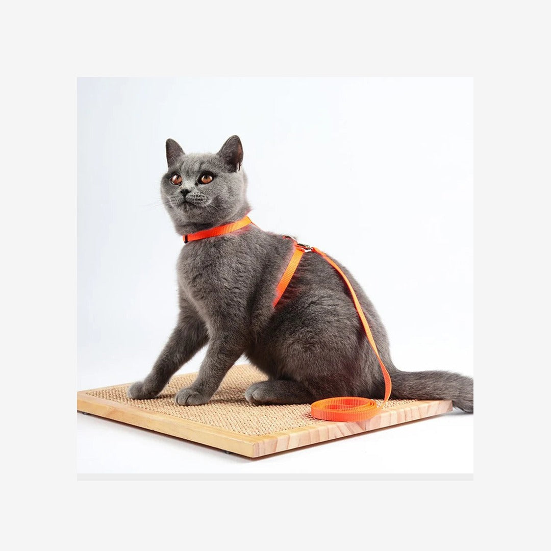Adjustable Cat Collar & Harness Set