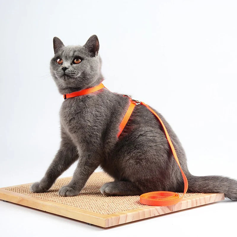 Adjustable Cat Collar & Harness Set