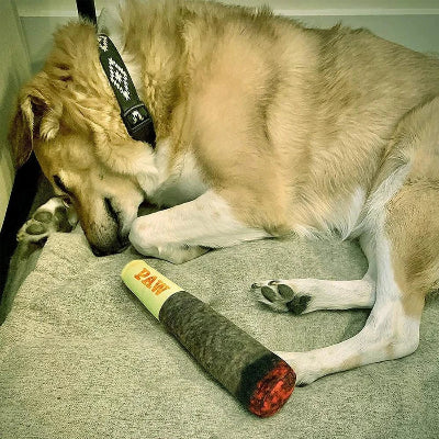 Squeaky Plush Dog Toy – Cigar Design
