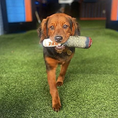 Squeaky Plush Dog Toy – Cigar Design