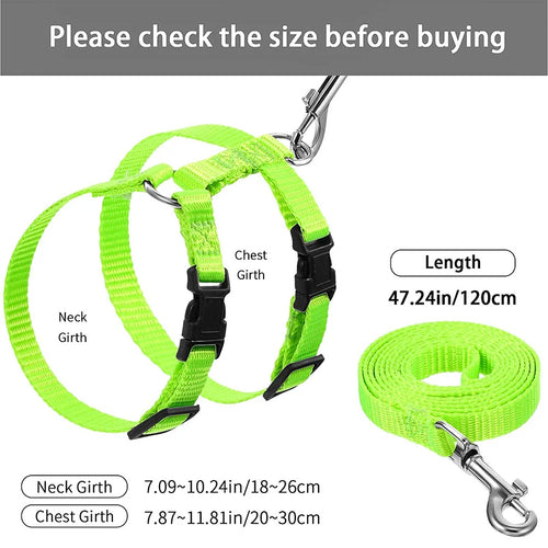 Adjustable Cat Collar & Harness Set