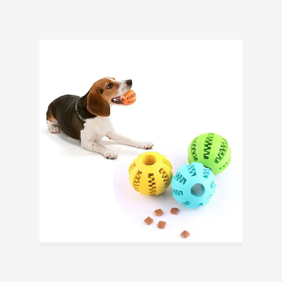 Non-Toxic Dog Treat Chew Ball