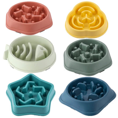 Anti-Choking Slow Feeder Bowl for Dogs & Cats