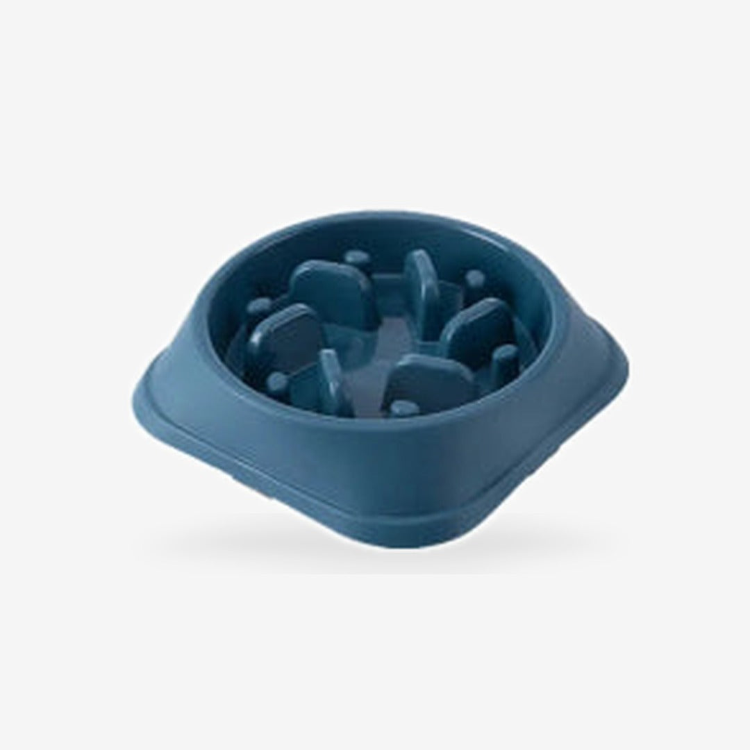 Anti-Choking Slow Feeder Bowl for Dogs & Cats