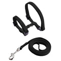 Adjustable Cat Collar & Harness Set