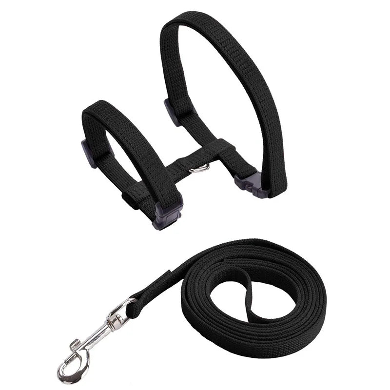Adjustable Cat Collar & Harness Set