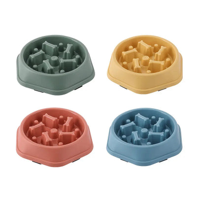 Anti-Choking Slow Feeder Bowl for Dogs & Cats